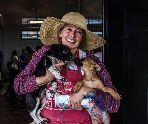 How to Take Care of Your Dog in the Scorching Heat of India