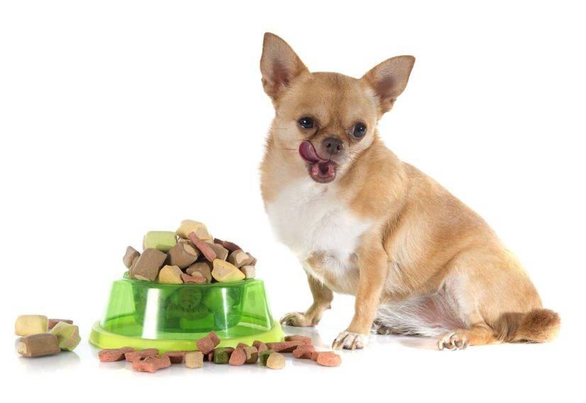 Best dog food for clearance sensitive stomach and skin