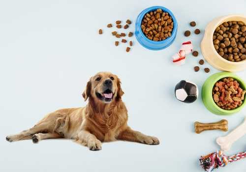 Are dog biscuits good for outlet humans