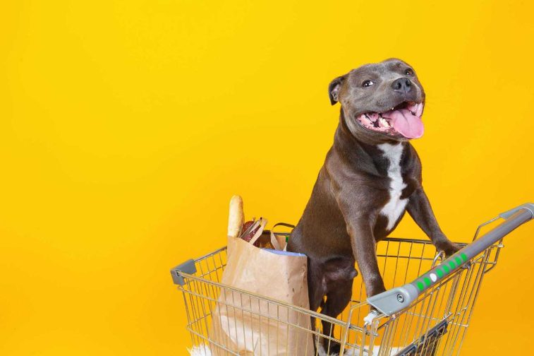 Pros & Cons of Buying Dog Food Online