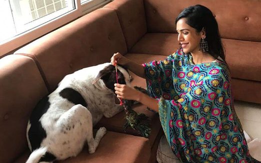 Dog Rakhi for your Dog: Celebrate Rakhi with your Furry Friend