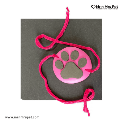 Dog Rakhi for your Dog: Celebrate Rakhi with your Furry Friend