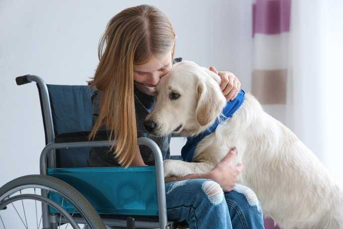 Will a therapy dog help me to get out of depression?