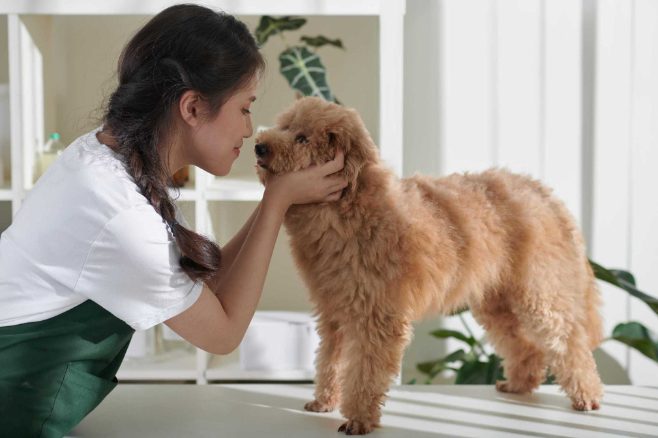 Ten ways to tell your dog you love them in their language