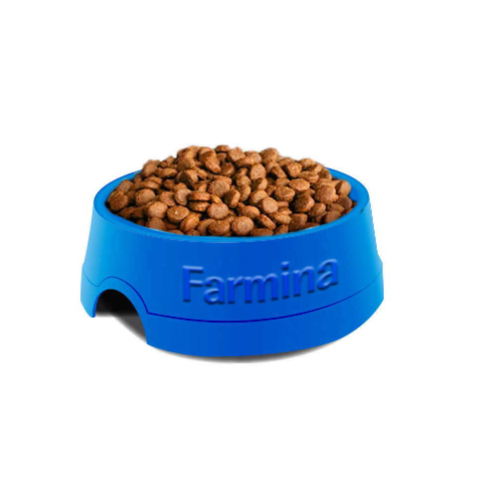 20kg dry dog food hotsell